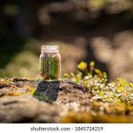 揭秘79 net必赢:如何在网络博彩中实现稳定盈利 1cs1m8p9