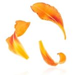 探索环亚体育入口:如何轻松注册并畅享体育赛事 7waxuiyvr