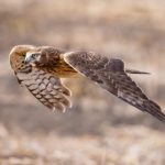 探索百丽宫网站入口的功能与在线服务优势 axwq9