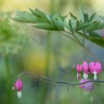 探索皇冠新2入口的最新动态与用户体验分享 ga49ue9