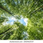 探索球速体育平台:提升运动表现的全新选择 xuk17