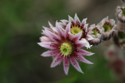 2841现场开奖结果查询与最新开奖信息 2841现场开奖结果查询与最新开奖信息