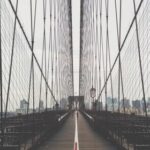 287期历史开奖号码完整统计与规律分析 7wjcw