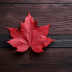 282期开奖号码前后走势分析及预测 glsbo9tafo