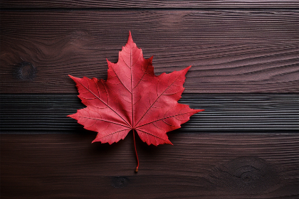 282期开奖号码前后走势分析及预测 282期开奖号码前后走势分析及预测